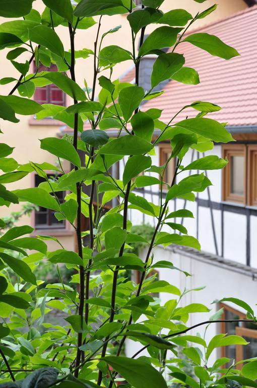Casa de hóspedes Gastezimmer Am Hof Frankfurt am Main